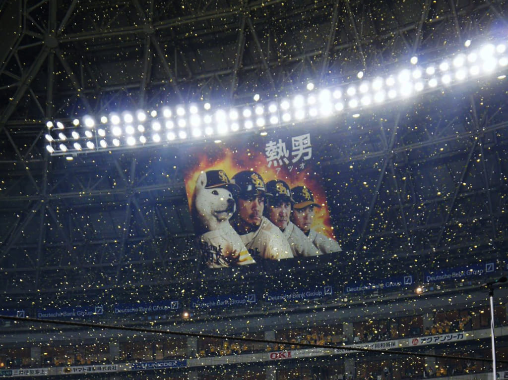 ドーム球場の天井部分の画像