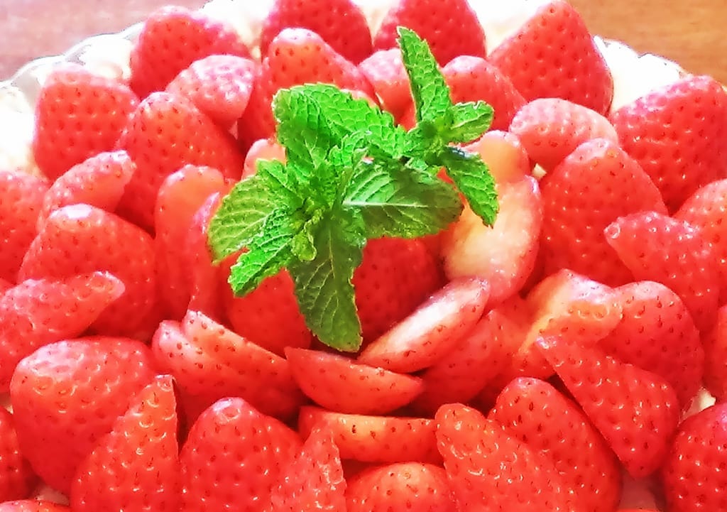 ケーキ　イメージ
