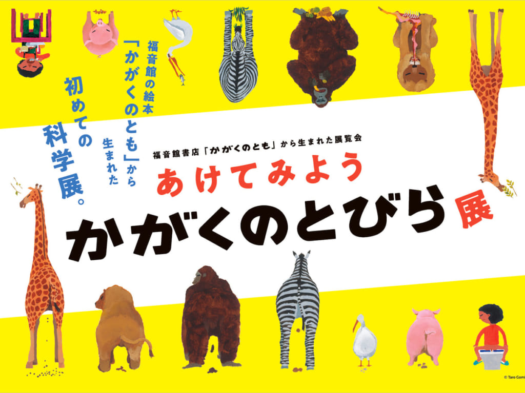 あけてみようかがくのとびら 福音館書店 かがくのとも ひらパー
