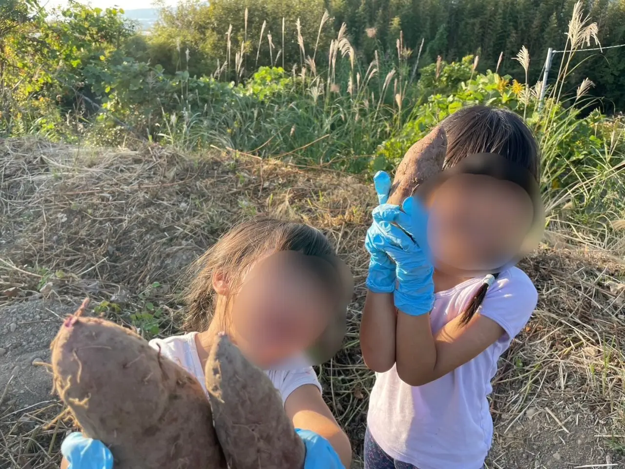 福田総合病院で農業体験