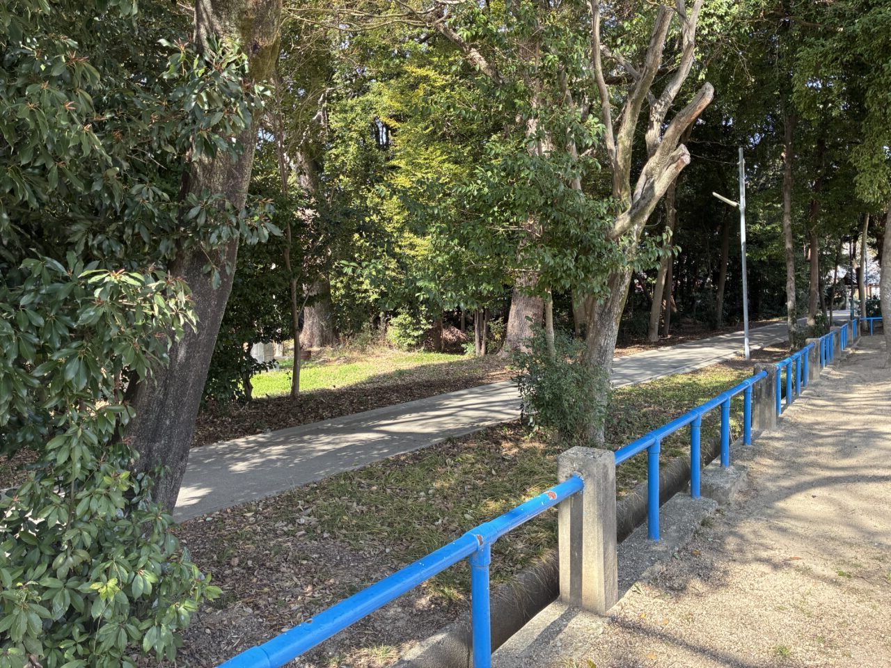船橋本町の二ノ宮神社でさくらの市