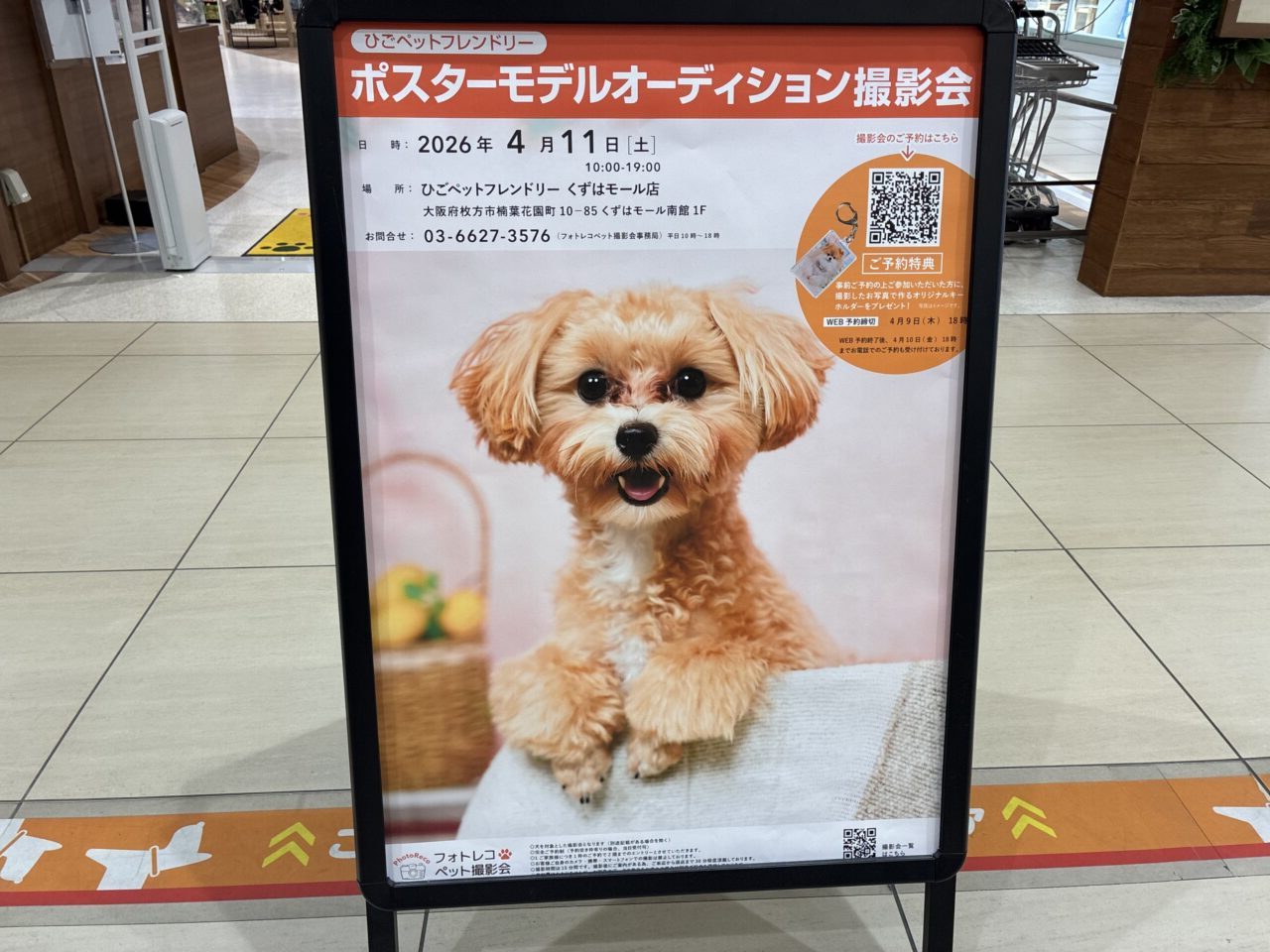 ひごペットフレンドリーくずはモール店