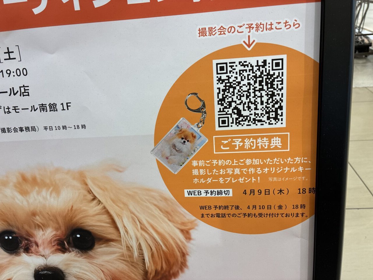 ひごペットフレンドリーくずはモール店