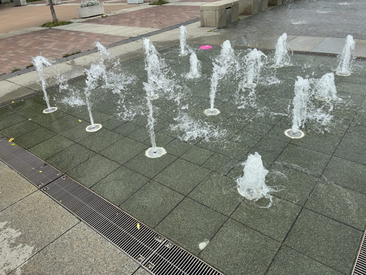 車塚公園天の川ファンタジア