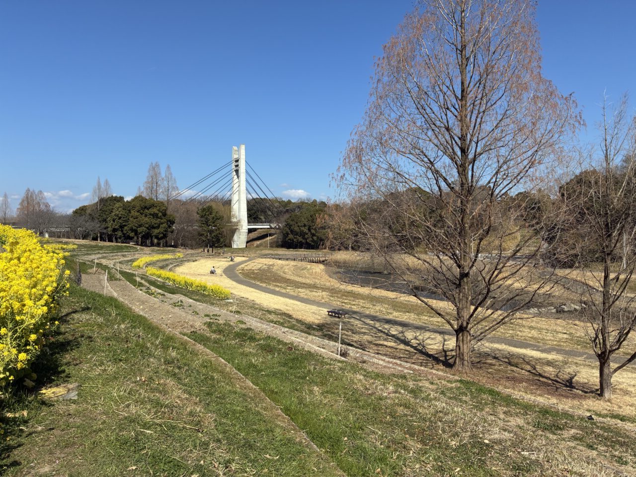 山田池公園
