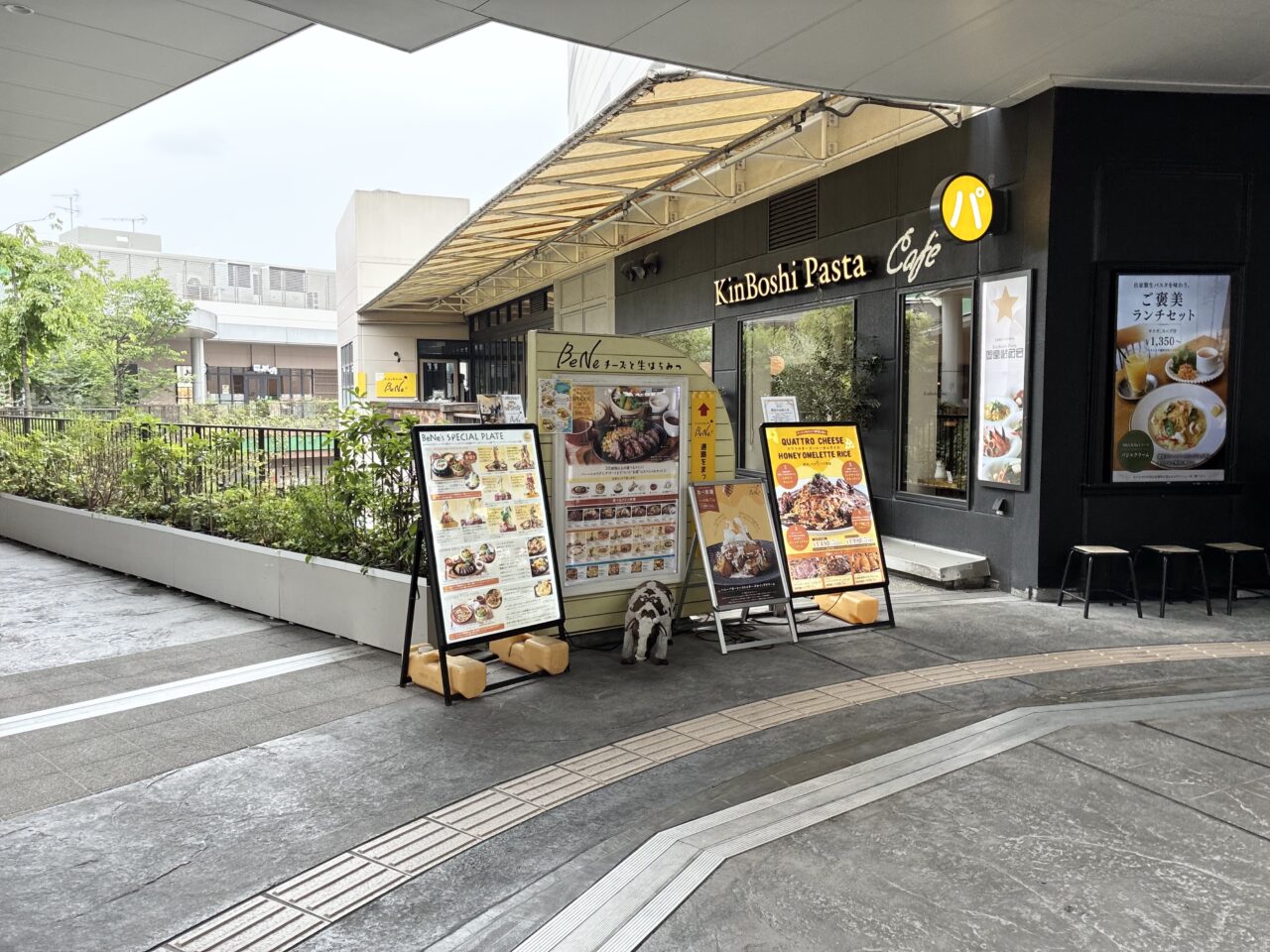 くずはモールのチーズと生はちみつ BeNe