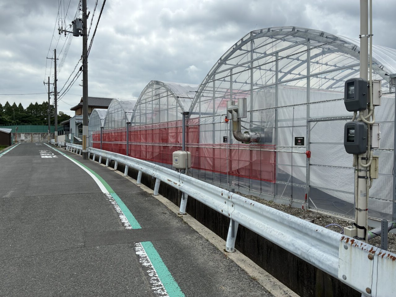 かたおか苺園