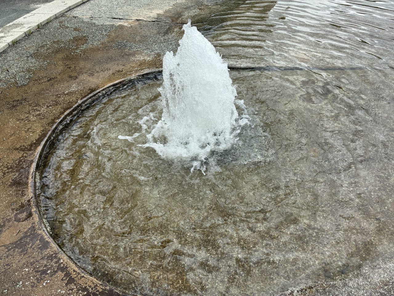 中の池公園の噴水