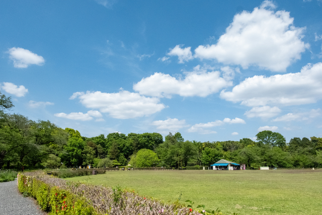 王仁公園