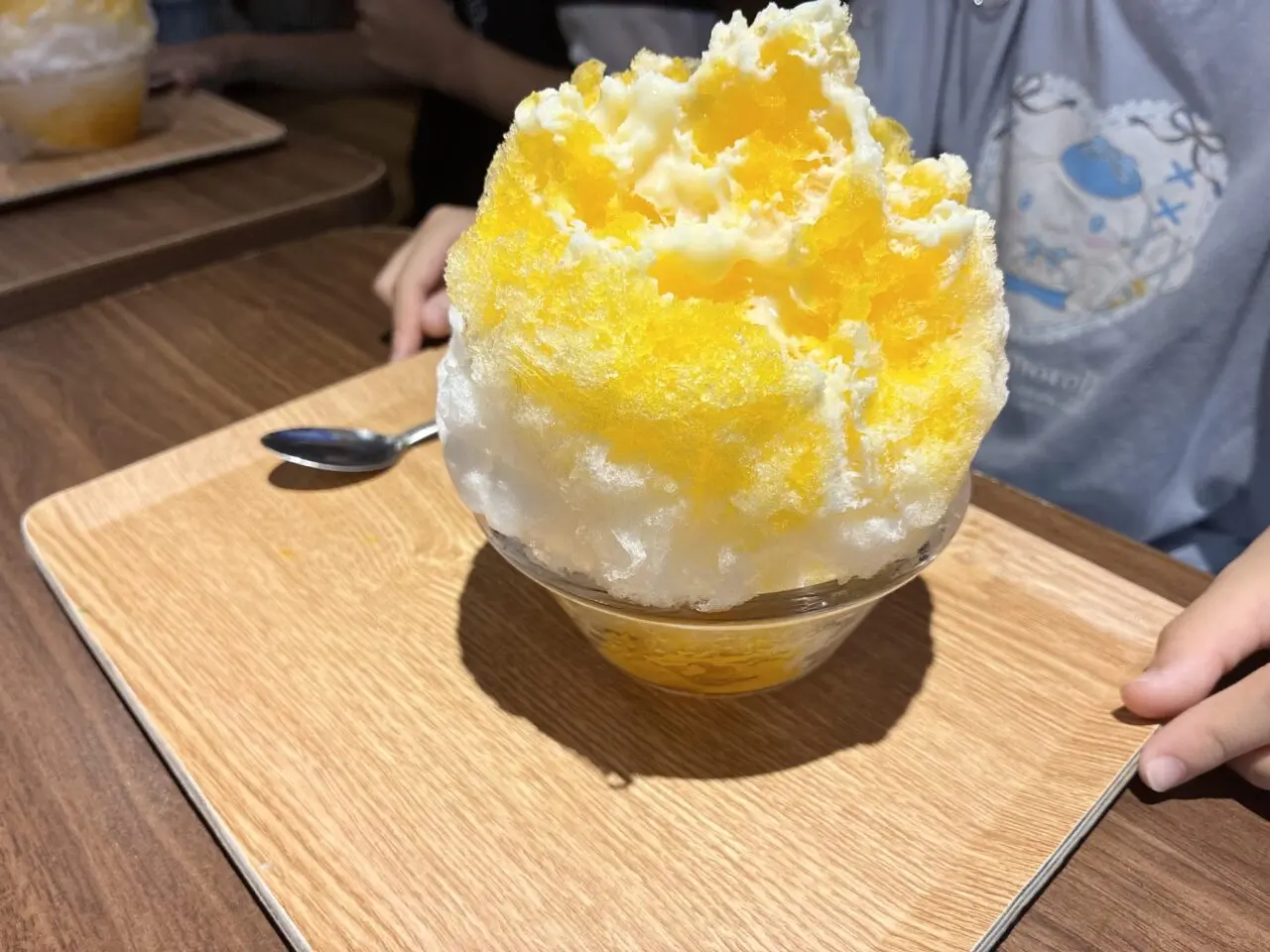 枚方凍氷